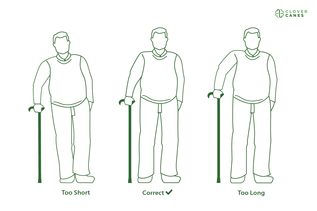 Posture Clover Canes